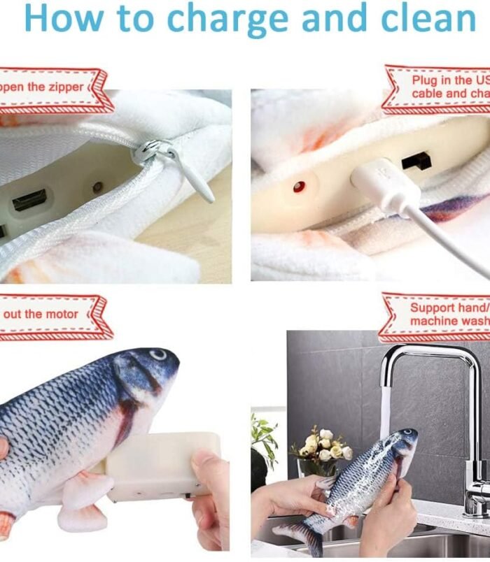 61Ar0Wr2ueL._AC_SL1000_