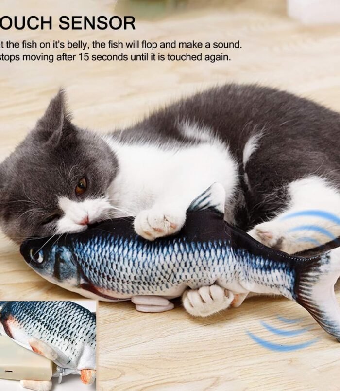 61NpGrXzt8L._AC_SL1000_