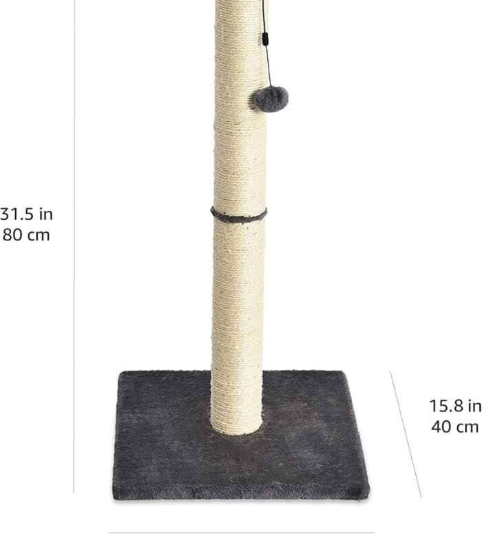 61QO5rljRML._AC_SL1500_