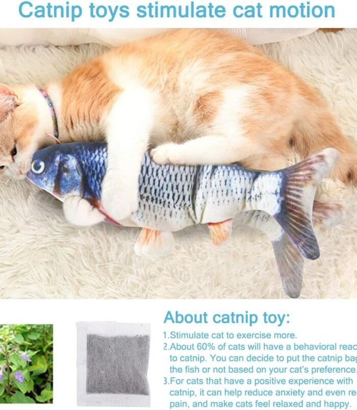 61YTiIbxSoL._AC_SL1000_