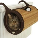 61Zp2851TZL._AC_SL1000_