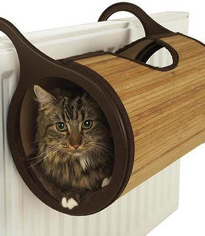 61Zp2851TZL._AC_SL1000_