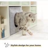 61ipm2YeugL._AC_SL1000_