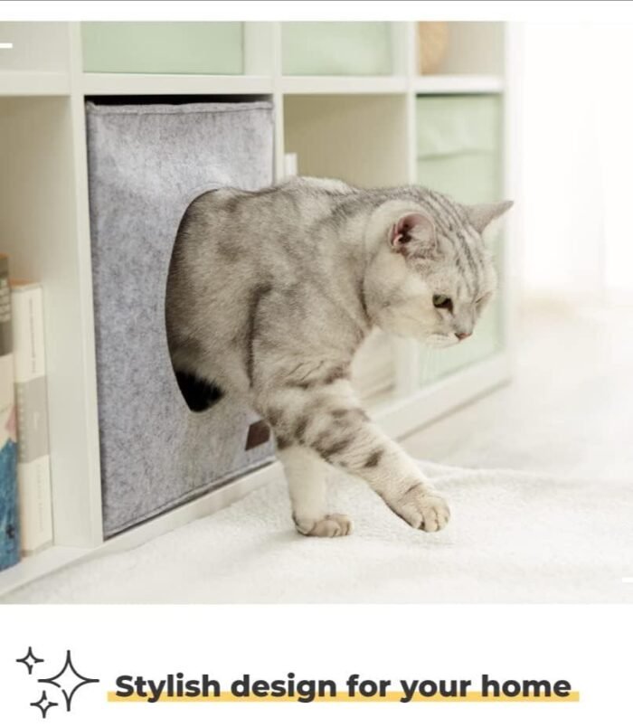 61ipm2YeugL._AC_SL1000_