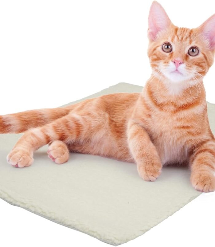 61mSI4pVRYL._AC_SL1500_