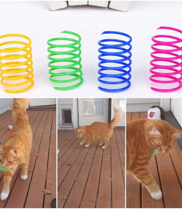 61n3ztciWNL._AC_SL1020_