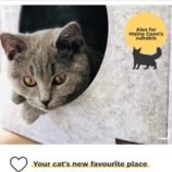 61x1+olVblL._AC_SL1000_