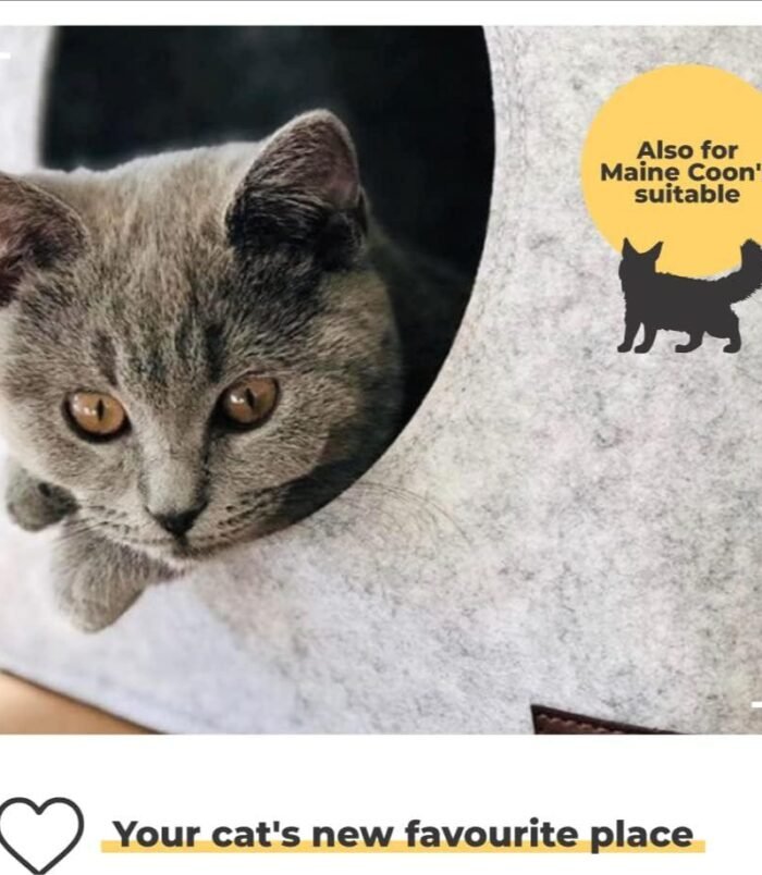 61x1+olVblL._AC_SL1000_