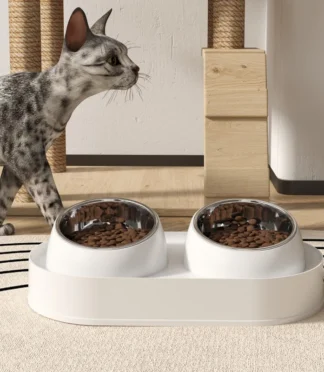 Cat Feeding&Watering Product