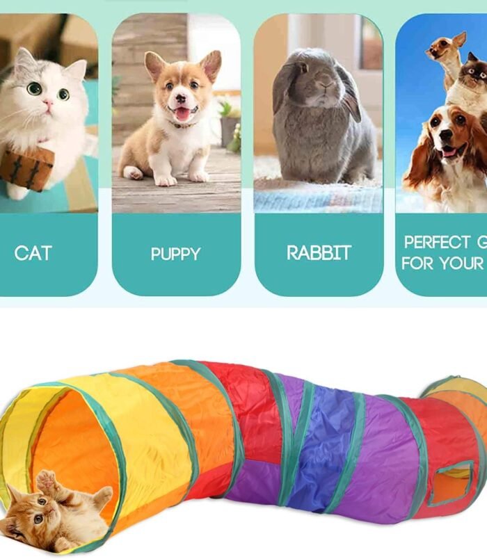 71-dO1CdiSL._AC_SL1500_