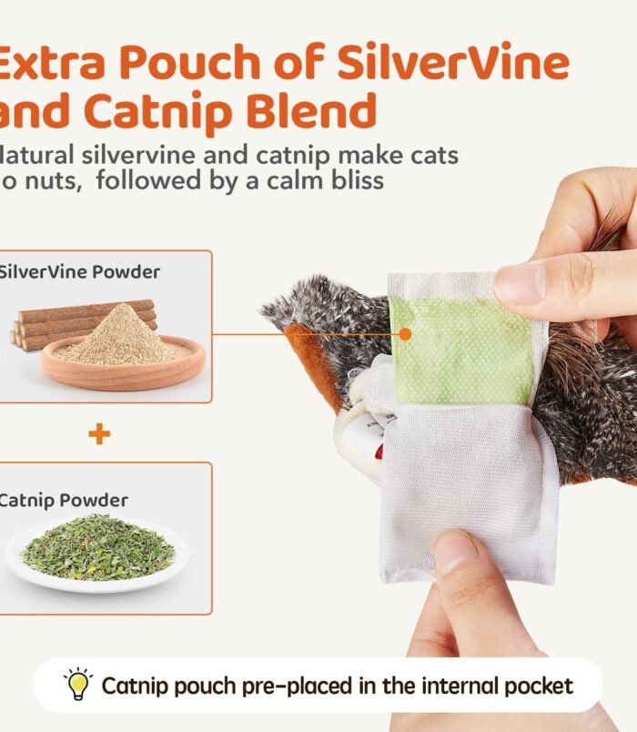 71F5olXMiQL._AC_SL1500_