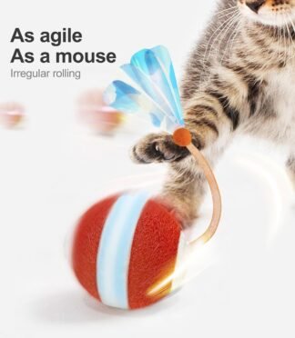 Interactive Cat Toys