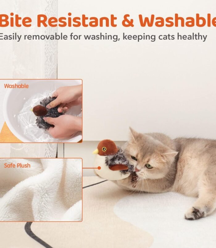 71MGFcR0MnL._AC_SL1500_