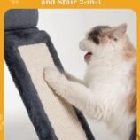 71OorC60AFL._AC_SL1500_