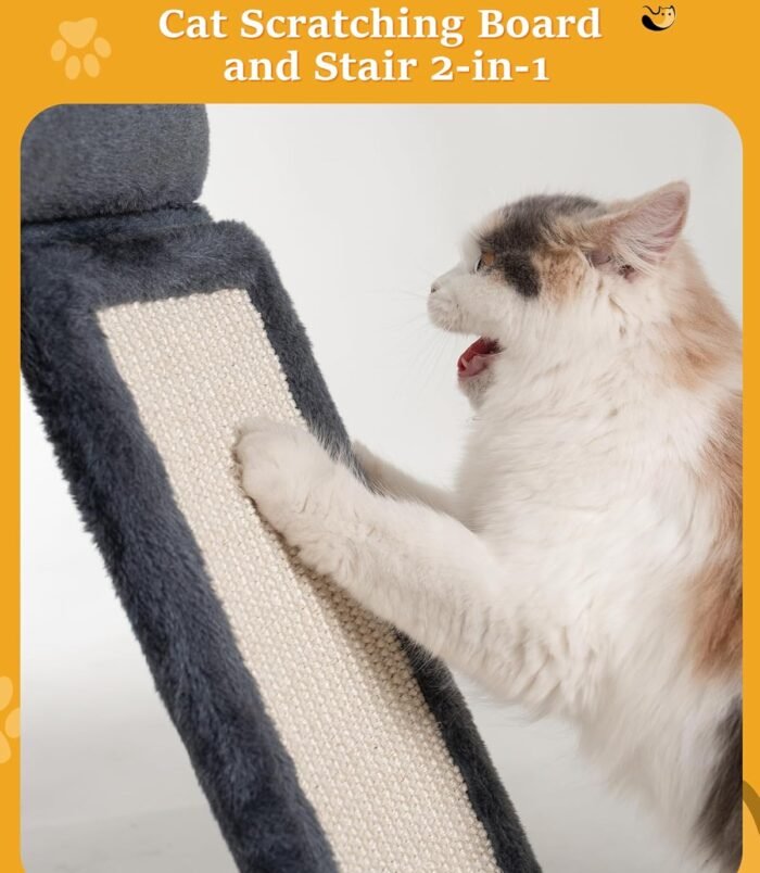 71OorC60AFL._AC_SL1500_