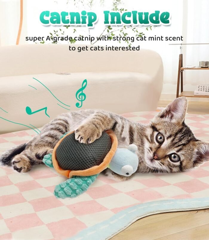 71ejNWS-nlL._AC_SL1500_