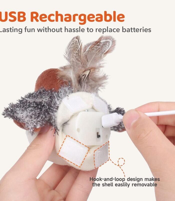 71fCEEsW-ML._AC_SL1500_