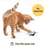 71fKKN6OvdL._AC_SL1500_ (1)