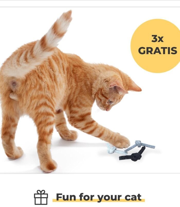 71fKKN6OvdL._AC_SL1500_ (1)