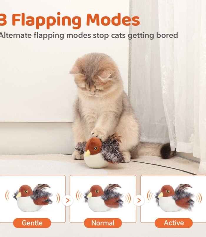 71i1QIGE7rL._AC_SL1500_