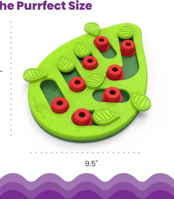 71jjm07qCCL._AC_SL1500_