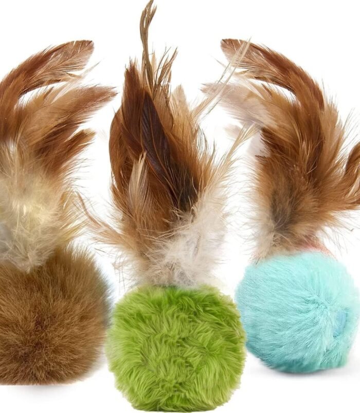 71s6qFR9z6L._AC_SL1301_