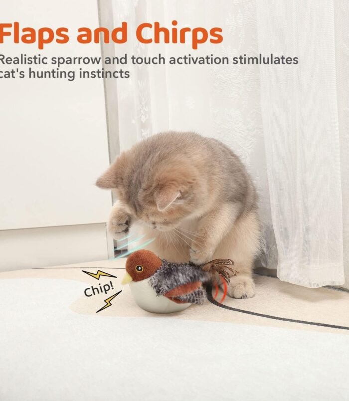 71wqQxytpvL._AC_SL1500_