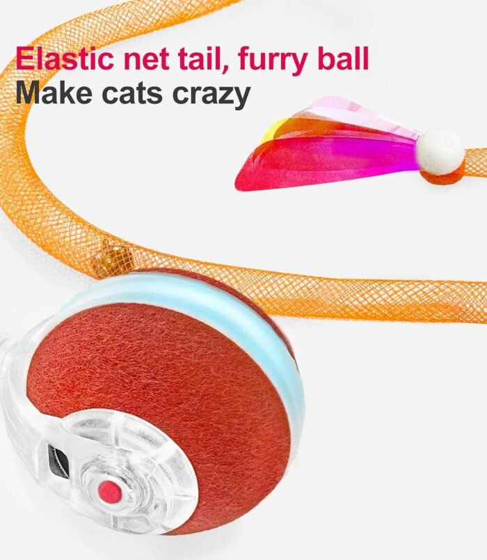 810gq5aG4CL._AC_SL1500_