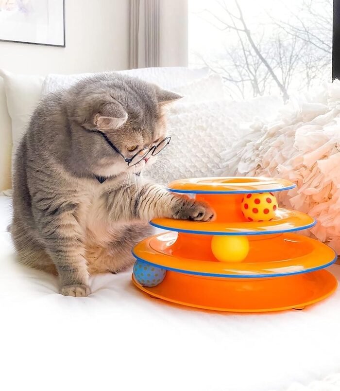 81+1BD4v+PL._AC_SL1500_