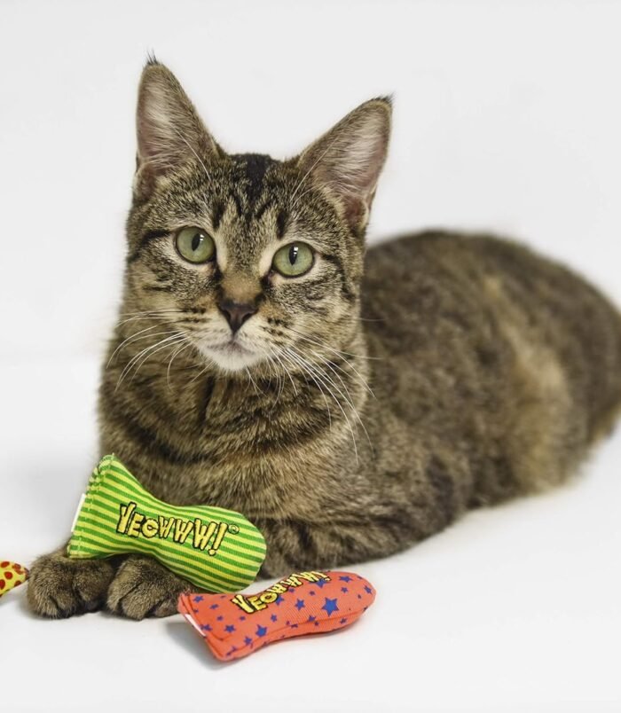 819RX0pTbdL._AC_SL1500_