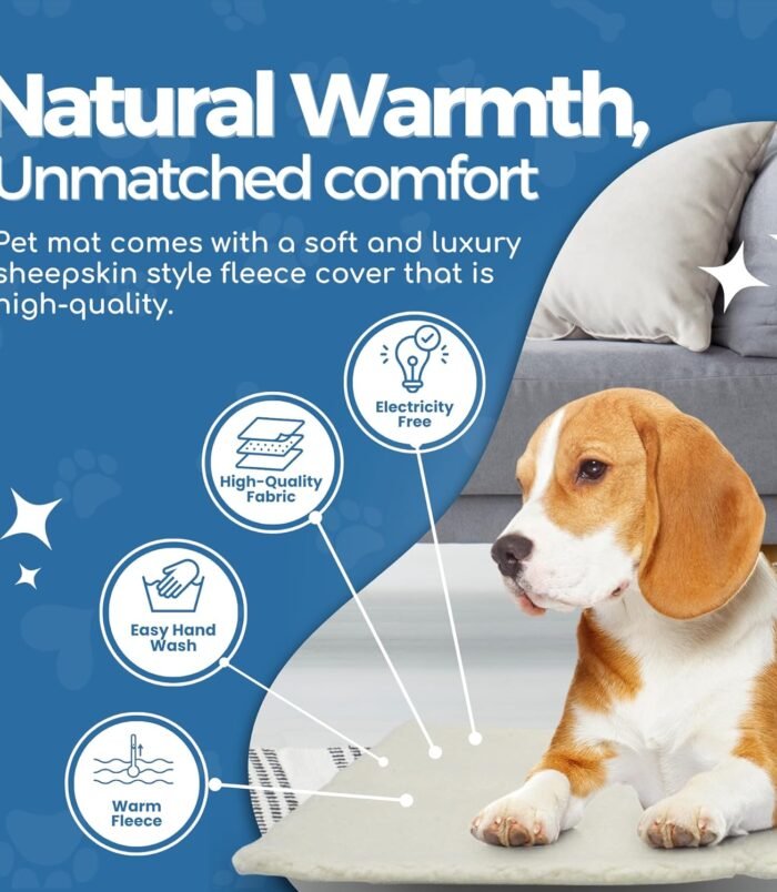 81GPtsC0-cL._AC_SL1500_