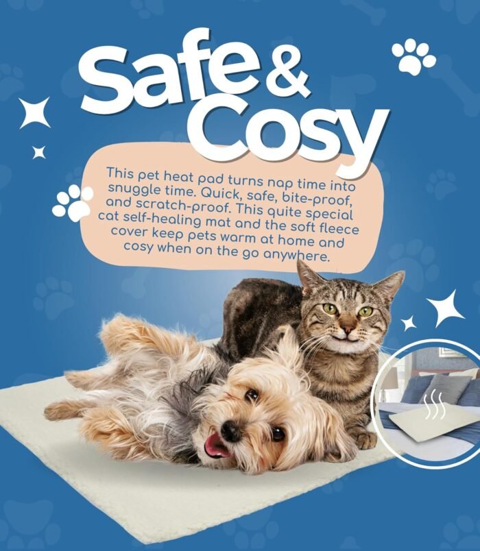 81TSaj1KR-L._AC_SL1500_