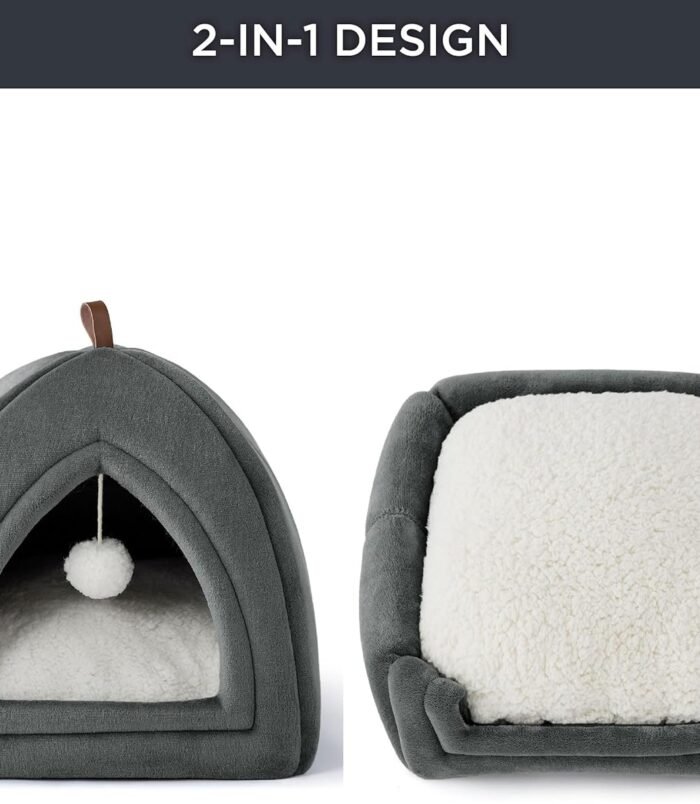 81Y7E1jXTdL._AC_SL1500_