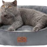 81YkK5TcSbL._AC_SL1500_