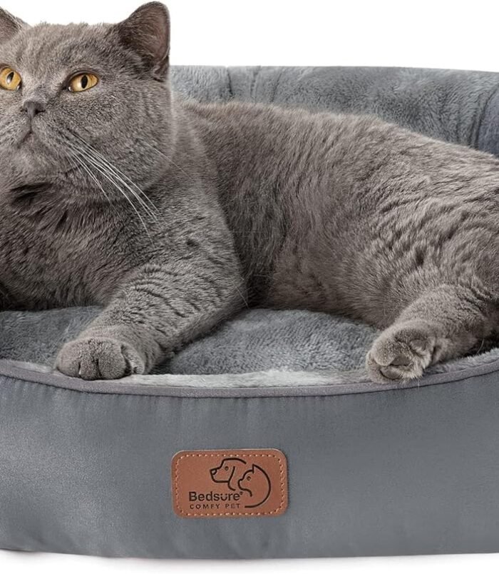 81YkK5TcSbL._AC_SL1500_