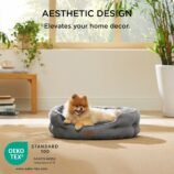 81ddCK60cyL._AC_SL1500_