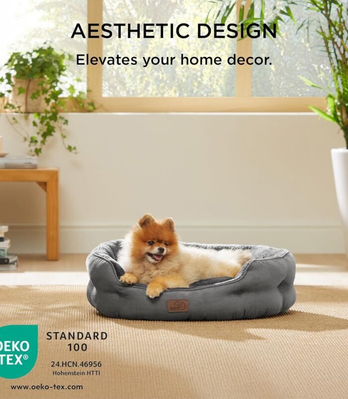 81ddCK60cyL._AC_SL1500_