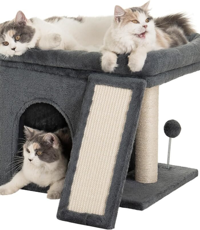 81e3T9cjncL._AC_SL1500_