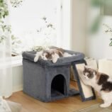 81gihvWWtFL._AC_SL1500_