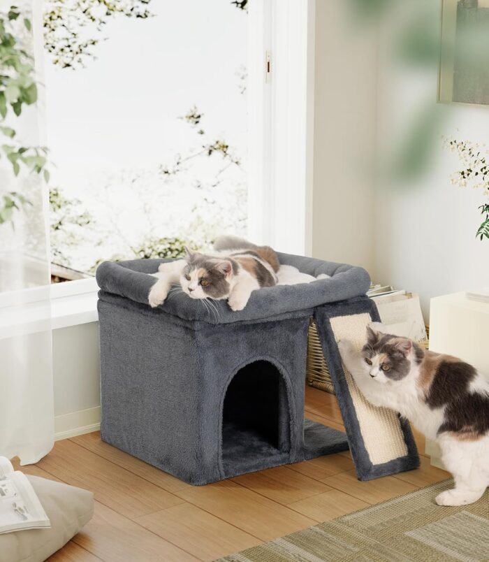 81gihvWWtFL._AC_SL1500_