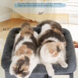 81hufNnBkpL._AC_SL1500_