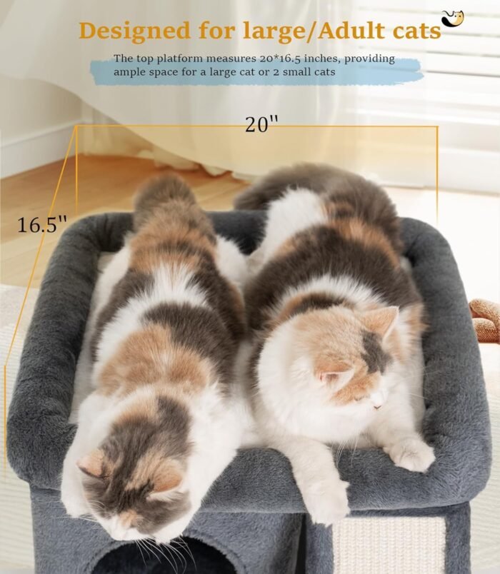 81hufNnBkpL._AC_SL1500_