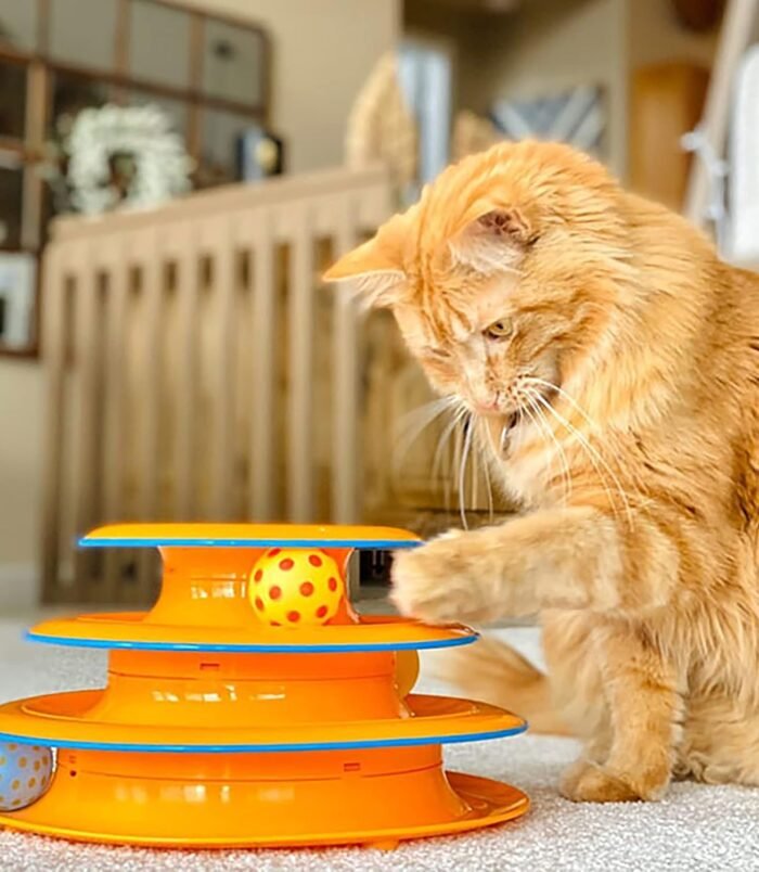 81lUUClmFUL._AC_SL1500_