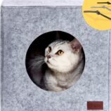 81mjns8fPpL._AC_SL1500_