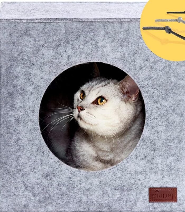 81mjns8fPpL._AC_SL1500_