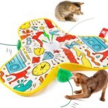 81rWNnvcxwL._AC_SL1500_