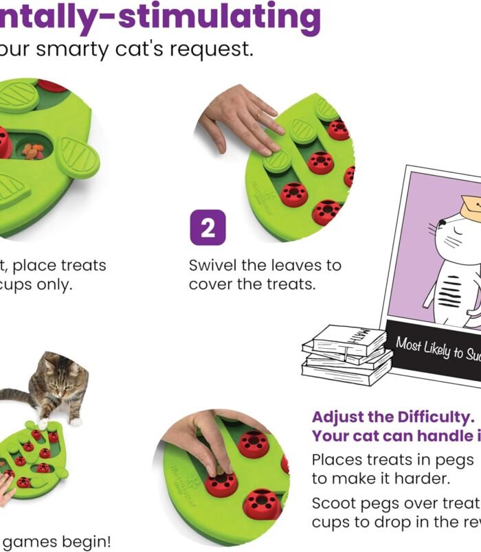 81uNHcQjX6L._AC_SL1500_