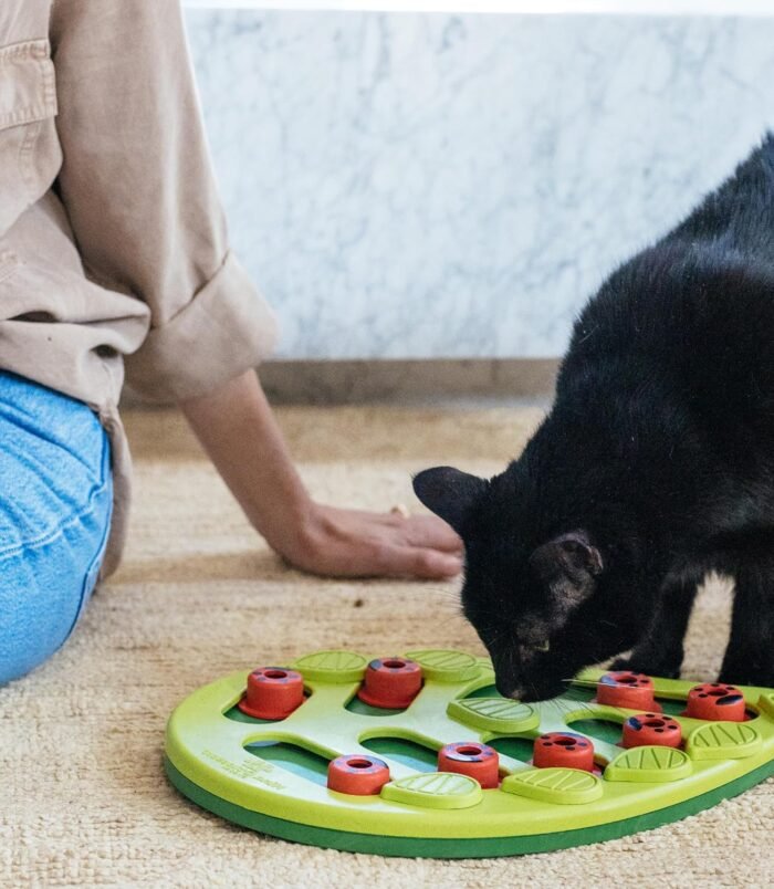 91FXFZruNXL._AC_SL1500_