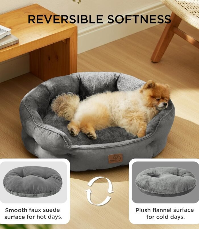 91MfdRuKHxL._AC_SL1500_