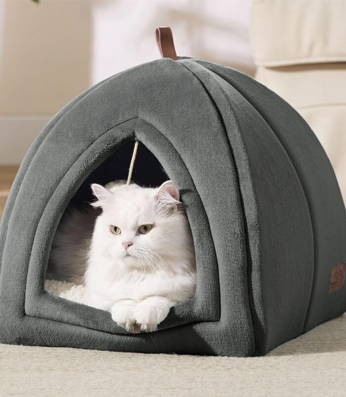 91WFTlwWfoL._AC_SL1500_